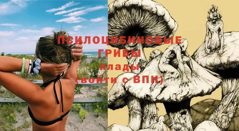 Галлюциногенные грибы Psilocybe  как найти закладки  Глазов 